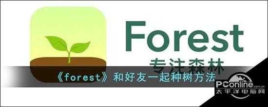 forest和好友一起种树方法