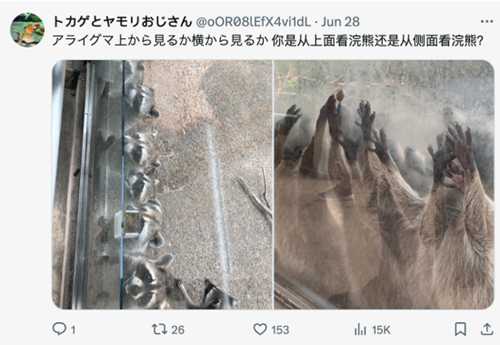 日本动物园发浣熊惊悚照 《生化》官方翻牌：太像了