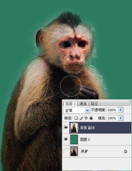 photoshop一图多解找出抠取毛发的最佳方法