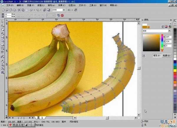 CorelDraw(CDR)利用网格工具模仿制作逼真香蕉实例教程详解